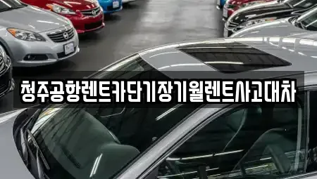 충북 청주시 흥덕구 화계동 렌트카,단기렌트카,장기렌트카,중고차,중고차매매,중고차매입