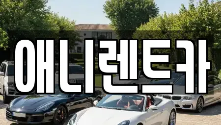 충북 충주시 용산동 렌트카 전문 애니렌트카