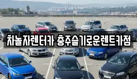 충북 충주시 용산동 렌트카 전문 차놀자렌터카 충주슬기로운렌트카점