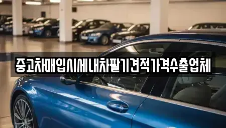 충청남도 금산군 남이면 중고차 전문 중고차매입시세내차팔기견적가격수출업체