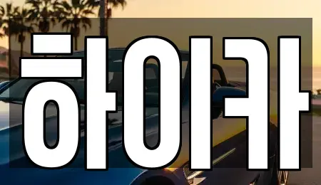 충청남도 금산군 남이면 중고차 전문 하이카