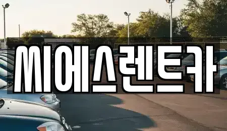 충청남도 예산군 예산읍 렌트카 전문 씨에스렌트카