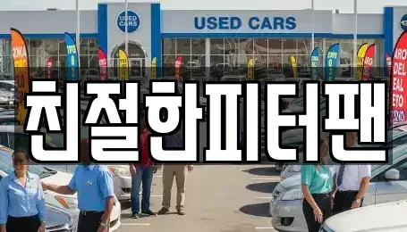 충청남도 천안시 동남구 유량동 중고차매입 전문 친절한피터팬