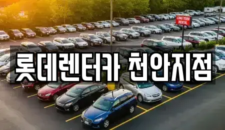 충청남도 천안시 렌트카 전문 롯데렌터카 천안지점