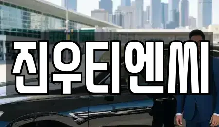 충청남도 천안시 중고차 전문 진우티엔씨