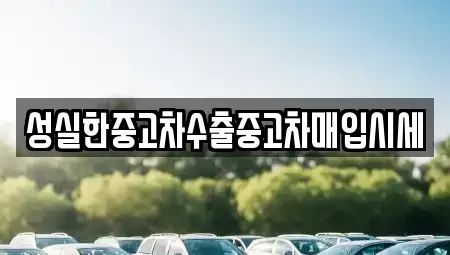 충청남도 청양군 중고차 전문 성실한중고차수출중고차매입시세