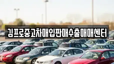 충청남도 청양군 중고차매입 전문 김프로중고차매입판매수출매매센터