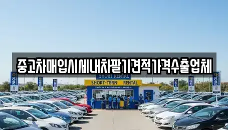 충청북도 제천시 강제동 중고차 전문 중고차매입시세내차팔기견적가격수출업체