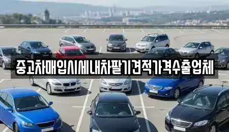 충청북도 제천시 교동 중고차매입 전문 중고차매입시세내차팔기견적가격수출업체