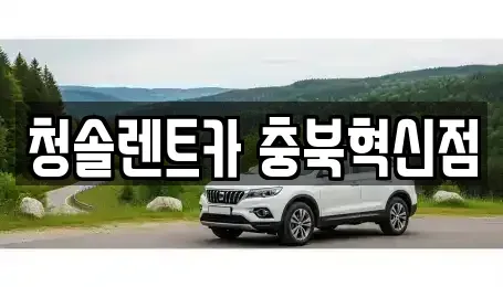 충청북도 진천군 초평면 렌트카 전문 청솔렌트카 충북혁신점