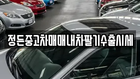 충청북도 진천군 초평면 중고차매매 전문 정든중고차매매내차팔기수출시세