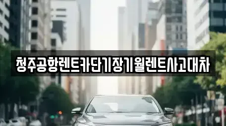 충청북도 청주시 상당구 남일면 단기렌트카 전문 청주공항렌트카단기장기월렌트사고대차