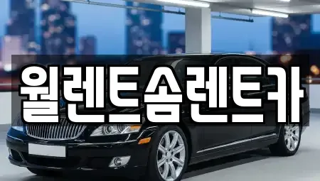 충청북도 청주시 상당구 남일면 렌트카 전문 월렌트솜렌트카