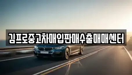 충청북도 청주시 상당구 남일면 중고차매입 전문 김프로중고차매입판매수출매매센터