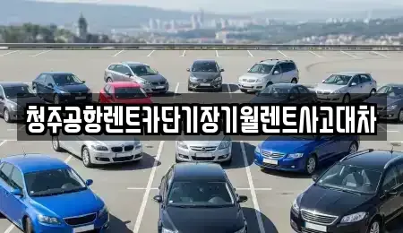 충청북도 청주시 상당구 명암동 렌트카 전문 청주공항렌트카단기장기월렌트사고대차