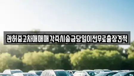 충청북도 청주시 상당구 명암동 중고차 전문 관허중고차매매매각즉시송금당일이전무료출장견적