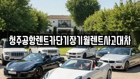 충청북도 청주시 청원구 외하동 렌트카 전문 청주공항렌트카단기장기월렌트사고대차