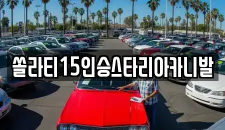 충청북도 충주시 용관동 렌트카 전문 쏠라티15인승스타리아카니발