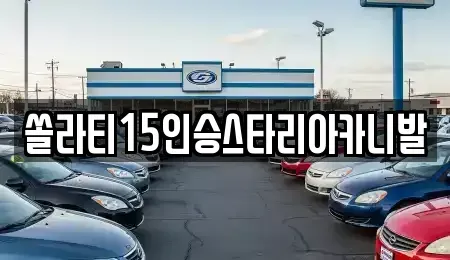 충청북도 충주시 충인동 렌트카 전문 쏠라티15인승스타리아카니발