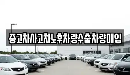 충청북도 충주시 충인동 중고차 전문 중고차사고차노후차량수출차량매입