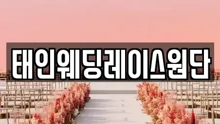 태인웨딩레이스원단