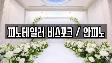 피노테일러 비스포크 / 안피노